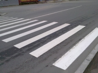 зебра