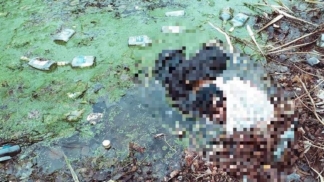 В озере на Позняках в Киеве спасатели нашли тело неизвестного