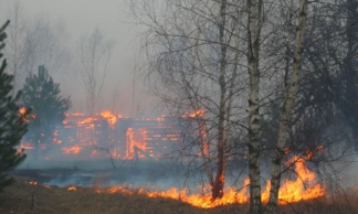 ОП