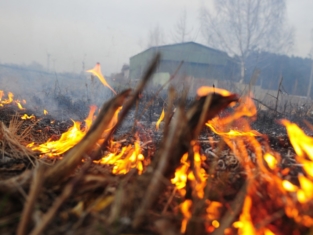 пожежі в Україні