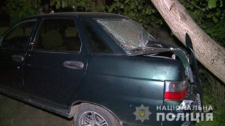 Под Винницей пьяная женщина наехала на четверых детей, один ребенок в реанимации
