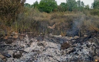 Біля окупованого Донецька виникла масштабна пожежа