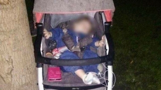 В Киеве пьяная мать забыла младенца в коляске под деревом