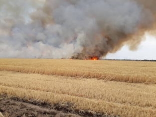 В Украине объявили чрезвычайный уровень пожарной опасности
