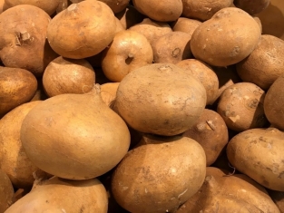 картофель