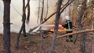 В Луганской области начался новый пожар: огонь подступает к электростанциям