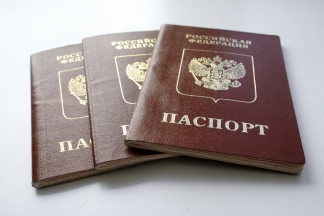 В миграционной службе рассказали, сколько россиян получили статус беженца в Украине
