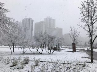 Синоптики рассказали, где в Украине в воскресенье выпадет снег