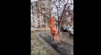 В Киеве в заледенелом дворе дома на коньках катался плюшевый динозавр (ВИДЕО)